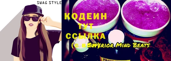 спиды Ельня