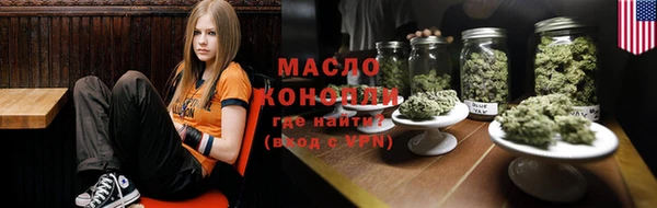спиды Ельня