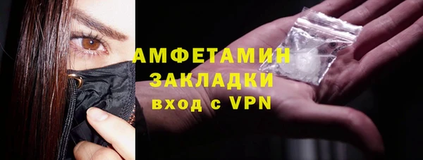 спиды Ельня