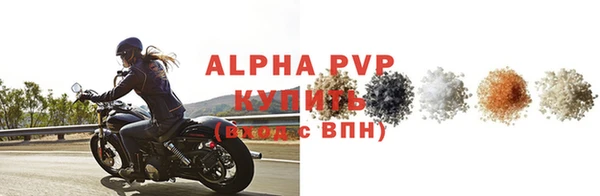спиды Ельня