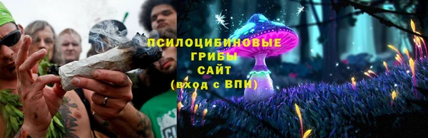 мескалин Елабуга