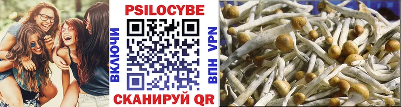 Псилоцибиновые грибы Psilocybine cubensis  mega маркетплейс  Новочебоксарск 